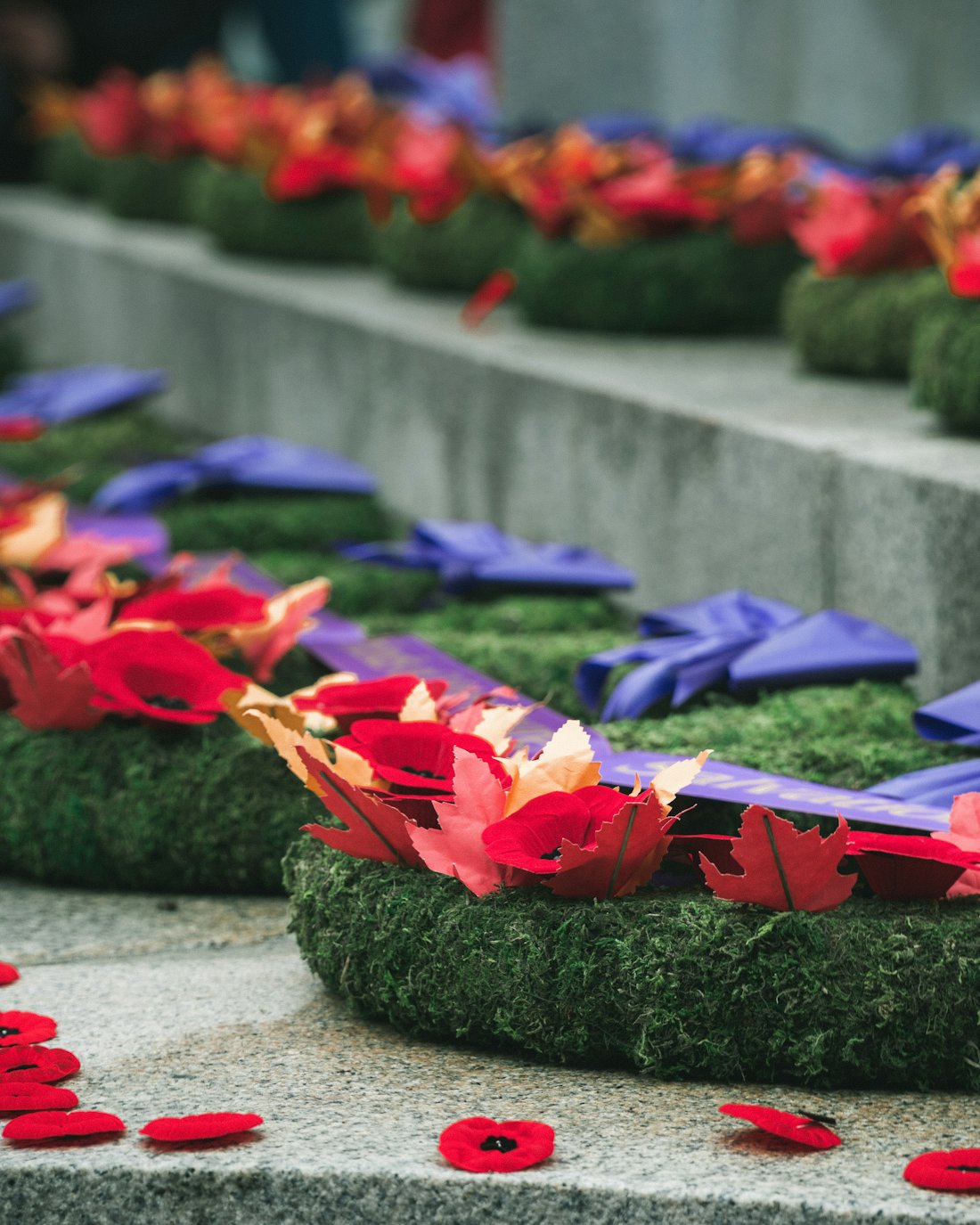 Poppies laid on the steps of a war memorial on Remembrance Day